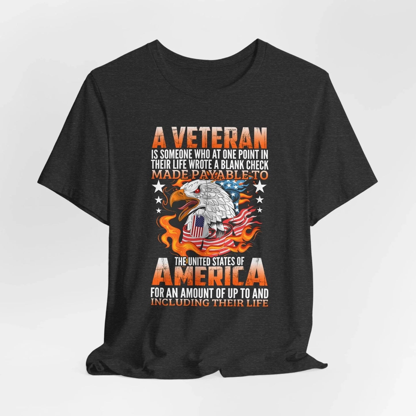 A Veteran is Someone Who Wrote a Blank Check Payable to America Patriotic T-Shirt, Veteran Gift, Military Tee, Unisex Shirt - SKULLFURY MERCH
