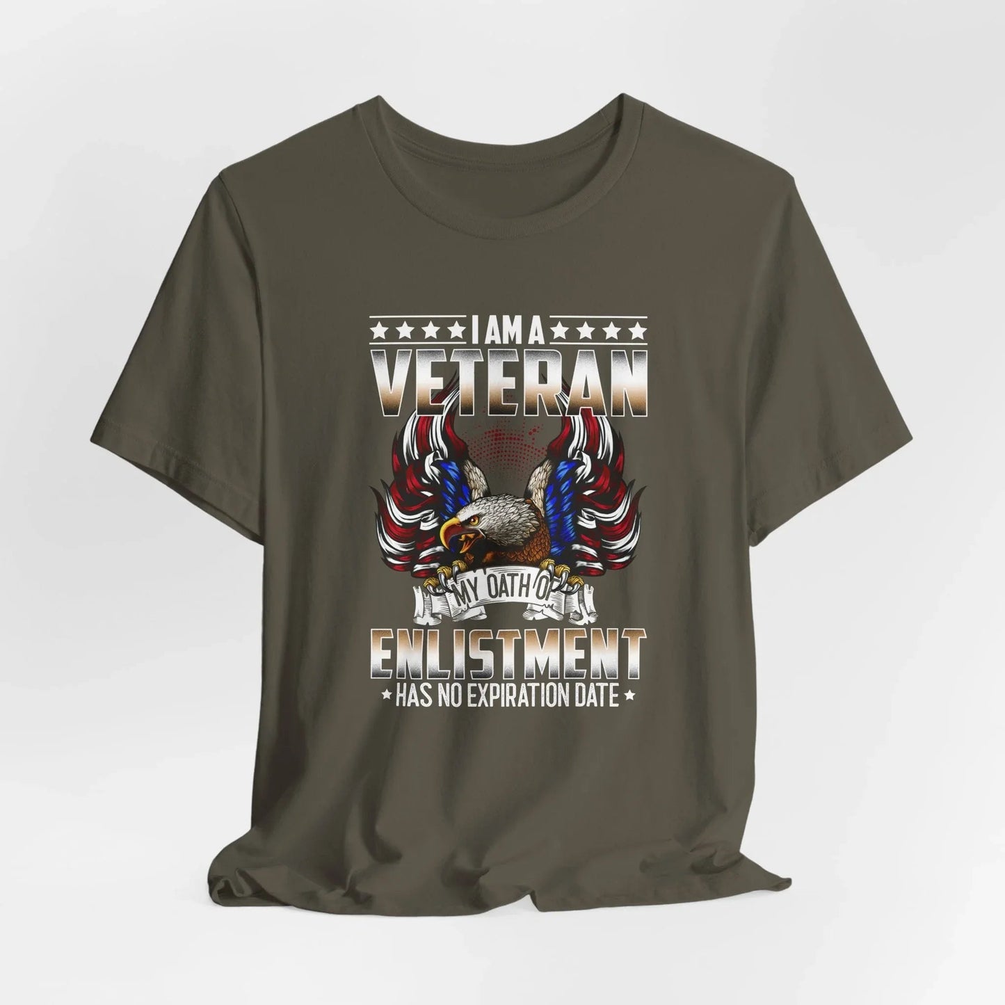Veteran Oath Unisex T-Shirt, Military Enlistment Tee, Patriotic Shirt, Army Veteran Gift, Soldier Tee - SKULLFURY MERCH