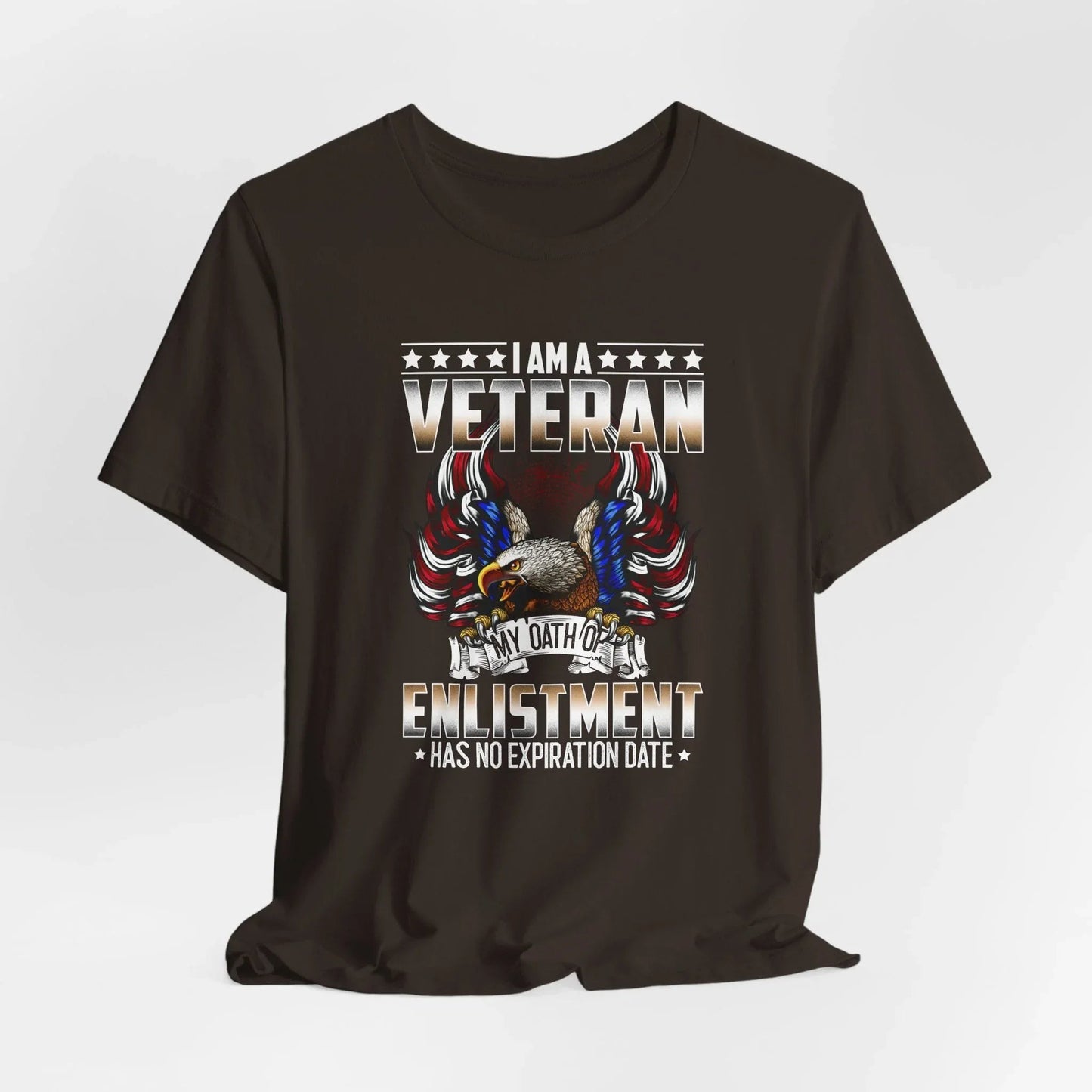 Veteran Oath Unisex T-Shirt, Military Enlistment Tee, Patriotic Shirt, Army Veteran Gift, Soldier Tee - SKULLFURY MERCH