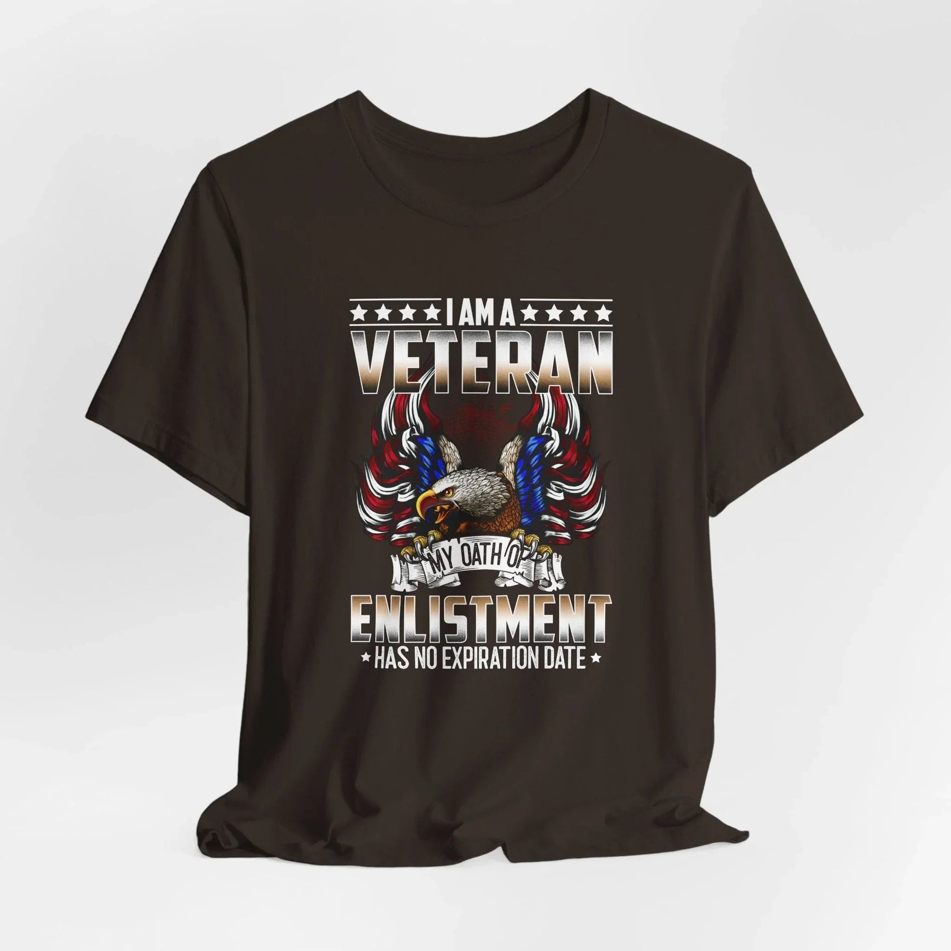Veteran Oath Unisex T-Shirt, Military Enlistment Tee, Patriotic Shirt, Army Veteran Gift, Soldier Tee - SKULLFURY MERCH