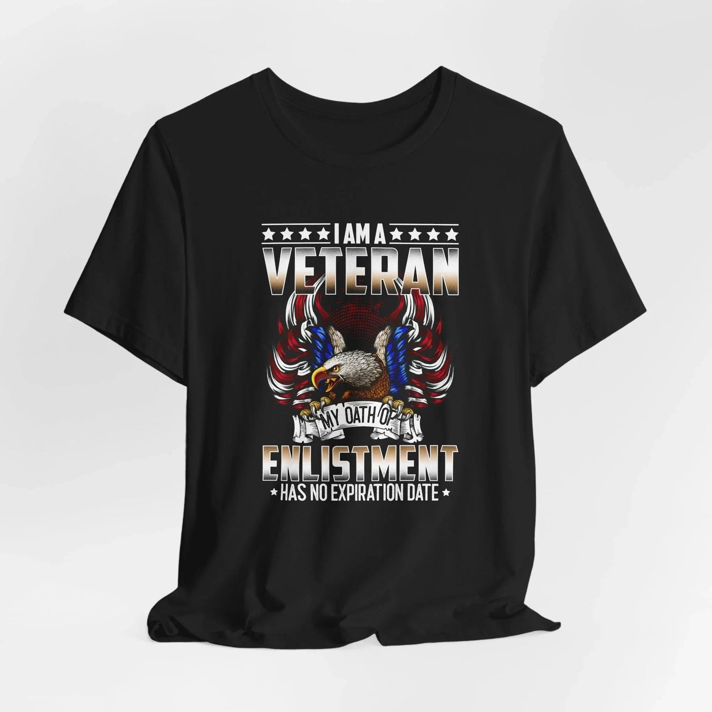 Veteran Oath Unisex T-Shirt, Military Enlistment Tee, Patriotic Shirt, Army Veteran Gift, Soldier Tee - SKULLFURY MERCH