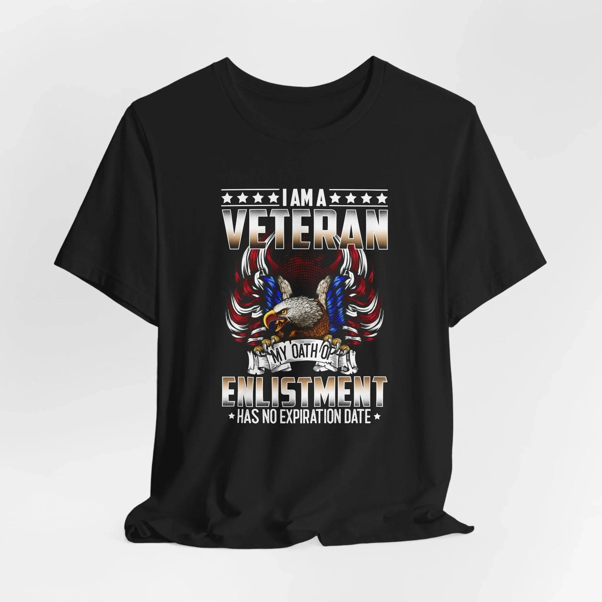 Veteran Oath Unisex T-Shirt, Military Enlistment Tee, Patriotic Shirt, Army Veteran Gift, Soldier Tee - SKULLFURY MERCH