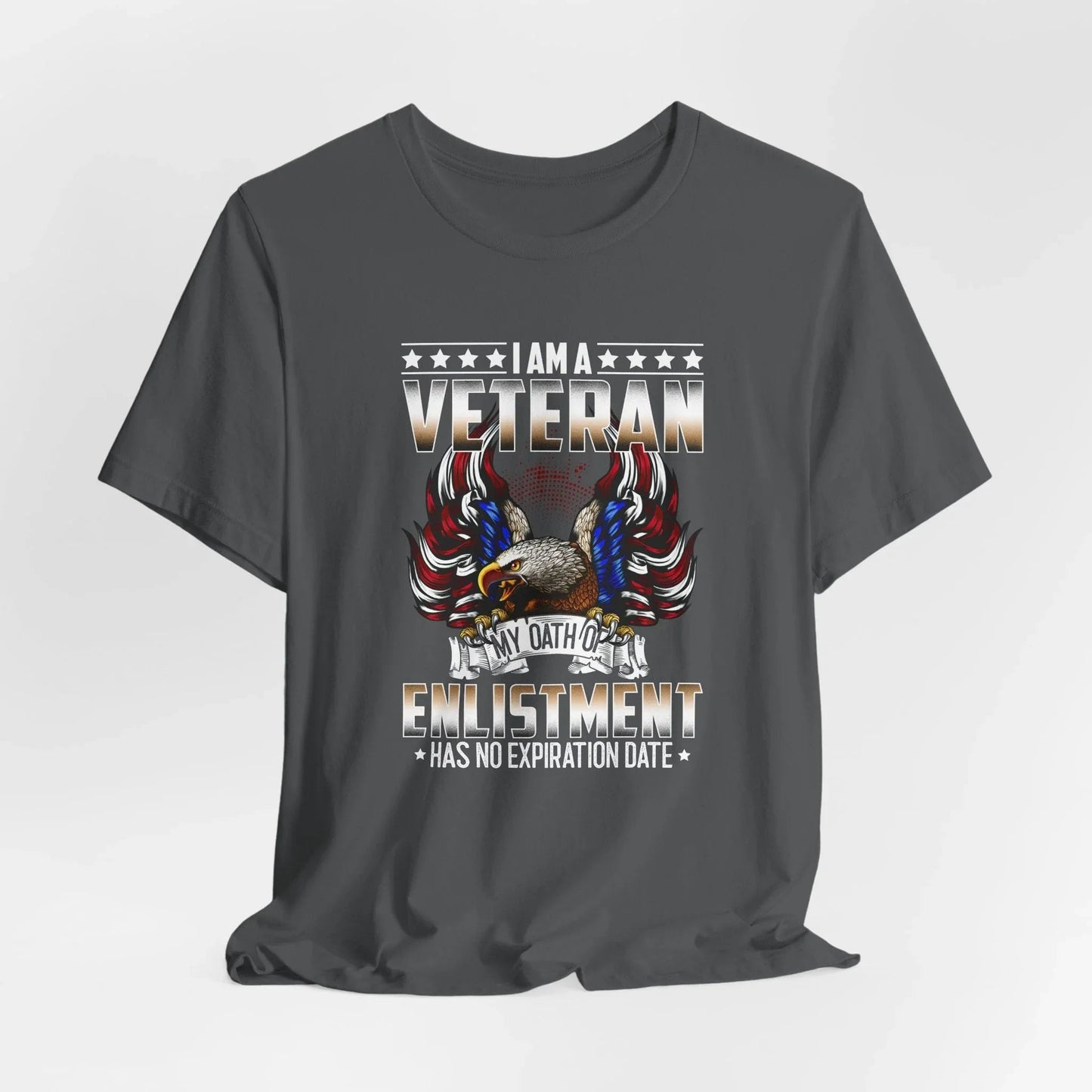 Veteran Oath Unisex T-Shirt, Military Enlistment Tee, Patriotic Shirt, Army Veteran Gift, Soldier Tee - SKULLFURY MERCH