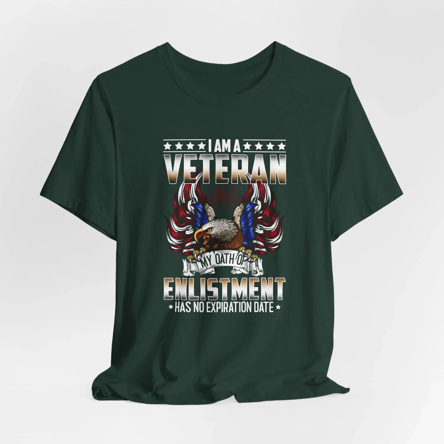 Veteran Oath Unisex T-Shirt, Military Enlistment Tee, Patriotic Shirt, Army Veteran Gift, Soldier Tee - SKULLFURY MERCH