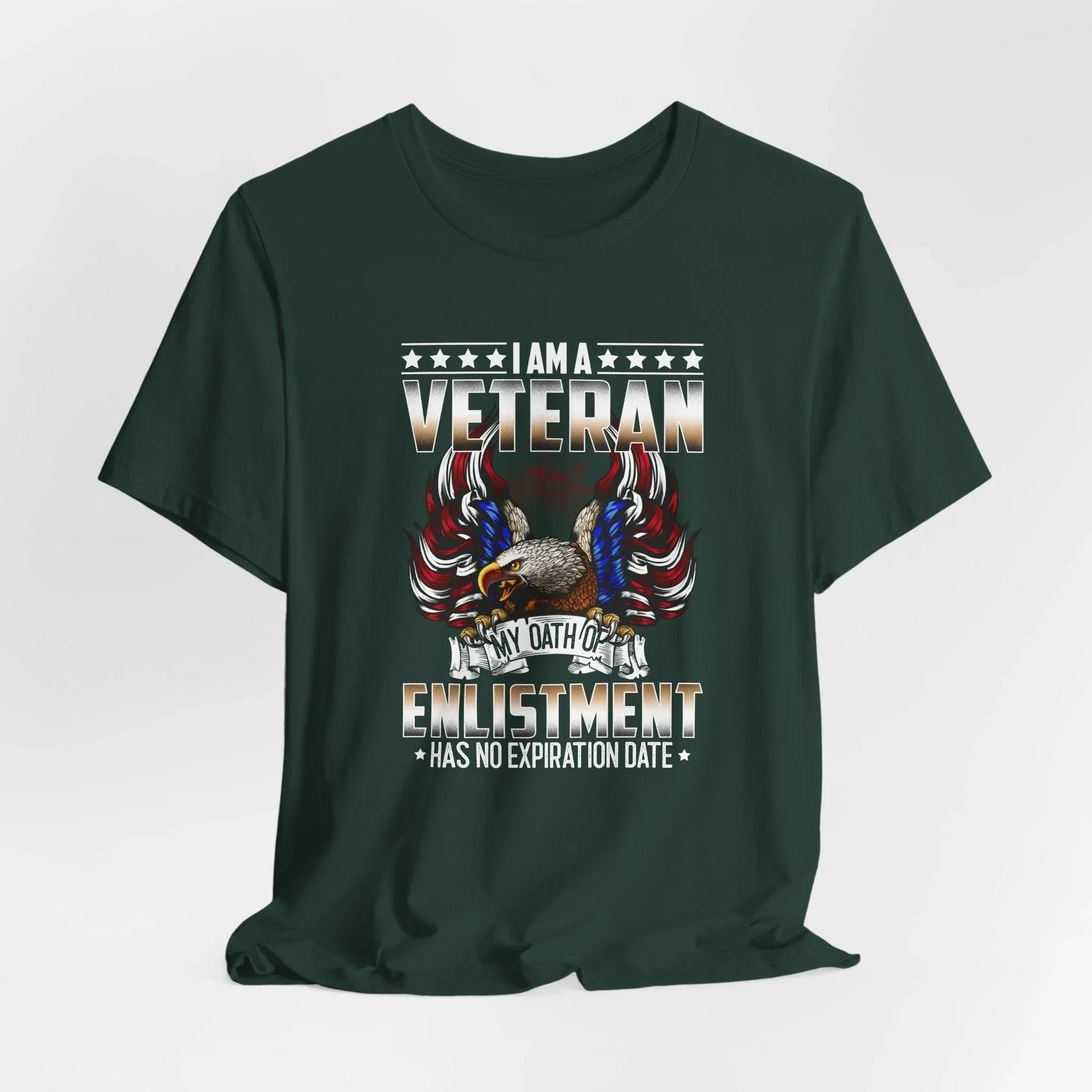 Veteran Oath Unisex T-Shirt, Military Enlistment Tee, Patriotic Shirt, Army Veteran Gift, Soldier Tee - SKULLFURY MERCH