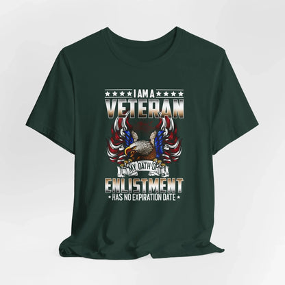 Veteran Oath Unisex T-Shirt, Military Enlistment Tee, Patriotic Shirt, Army Veteran Gift, Soldier Tee - SKULLFURY MERCH