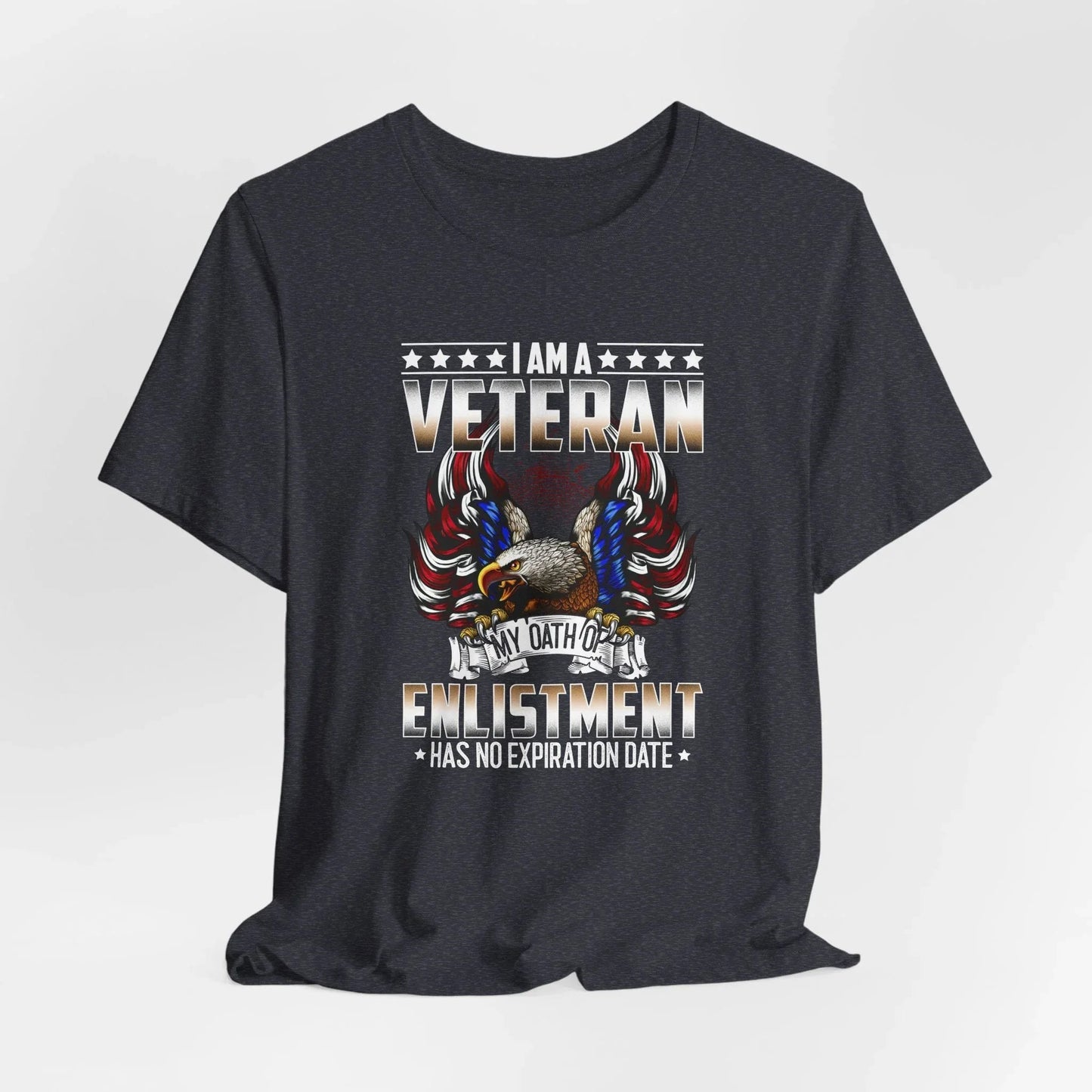 Veteran Oath Unisex T-Shirt, Military Enlistment Tee, Patriotic Shirt, Army Veteran Gift, Soldier Tee - SKULLFURY MERCH